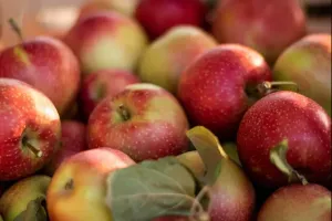 Dlaczego warto mieć ocet jabłkowy w swojej domowej apteczce