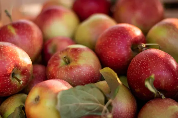 Dlaczego warto mieć ocet jabłkowy w swojej domowej apteczce