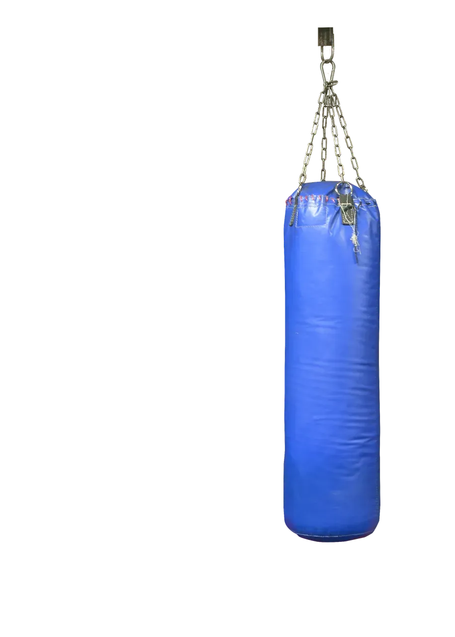 Szukasz worka treningowego